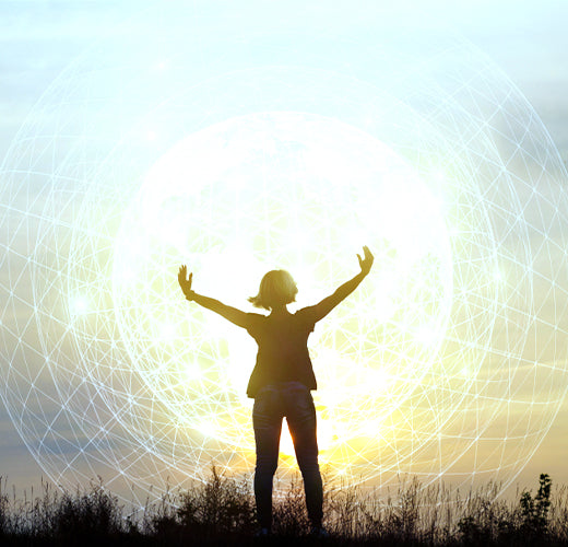 Simplify, Explore, Transform