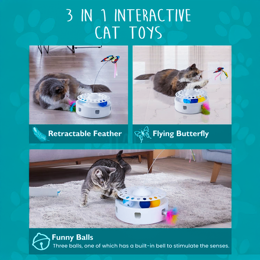 Cat toy 10