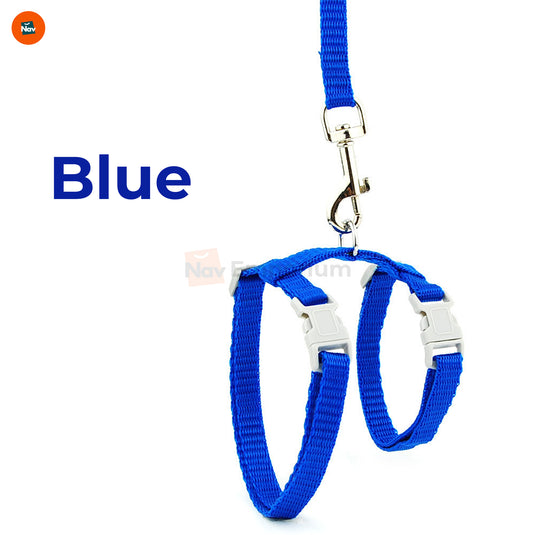 Chew-proof cat harness and leash  3