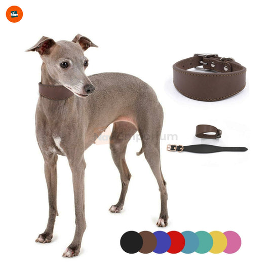 Adjustable dog collar for all breeds