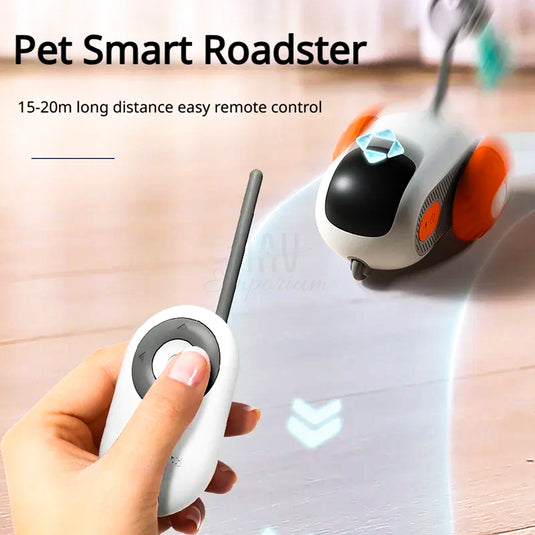 Automatic moving cat toy