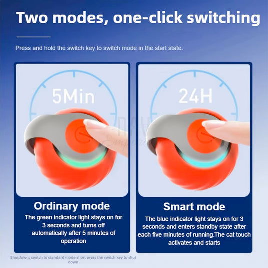 Motion-activated cat toy play