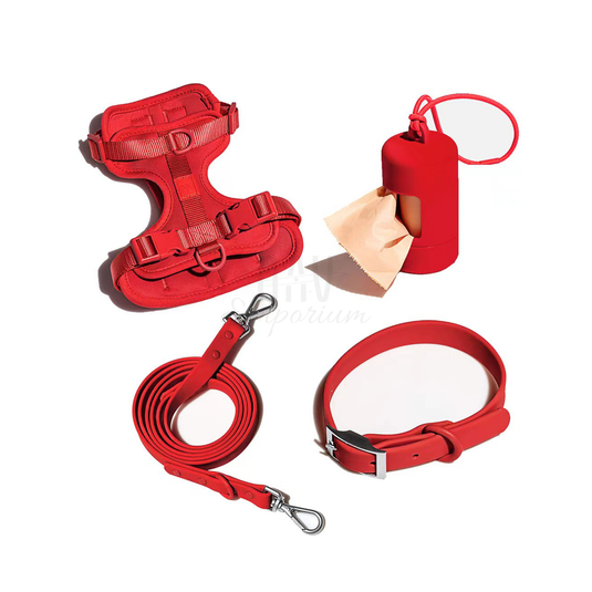 Walk Kit- The Ultimate Companion for Modern Pet Owners