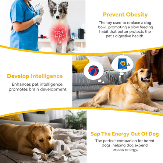 Bloat prevention dog feeder