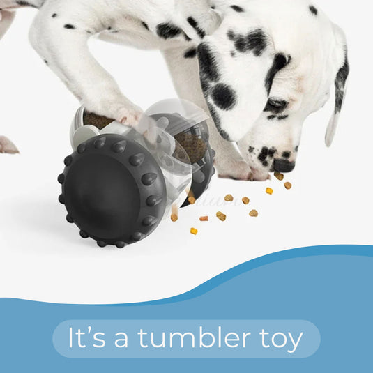 Interactive dog treat dispenser