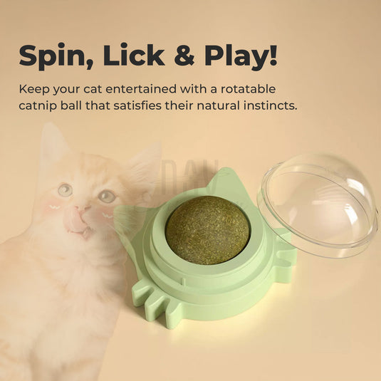 Natural catnip cat toy