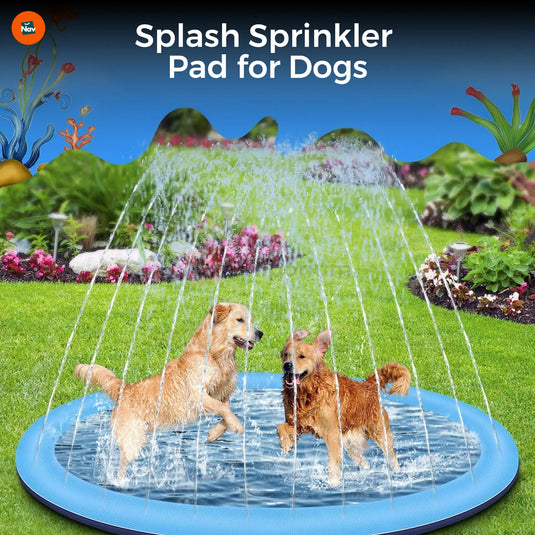 summer pet splash play pad