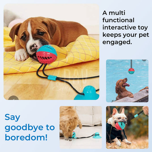 TugBuddy Chew Ball 1