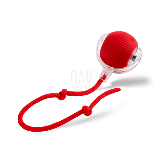 Interactive Pet Balls