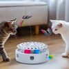KittyMotion Interactive Toy