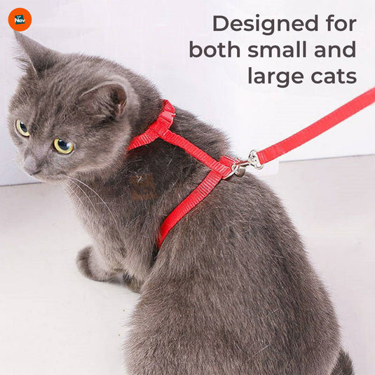 Adjustable cat harness with leash