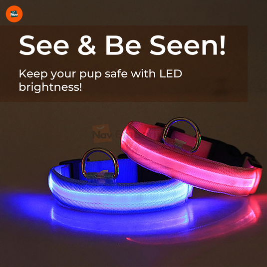 Adjustable glow-in-the-dark pet collar
