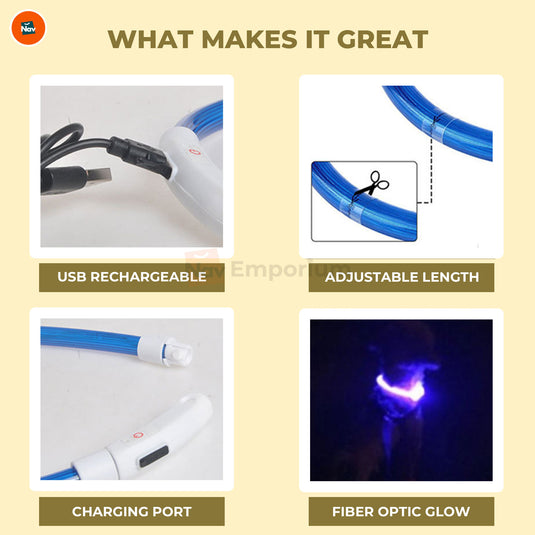 USB rechargeable LED dog collar