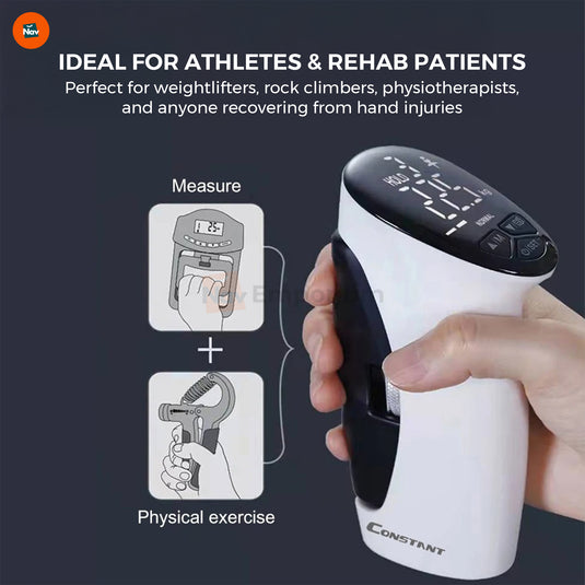 Forearm muscle training equipment