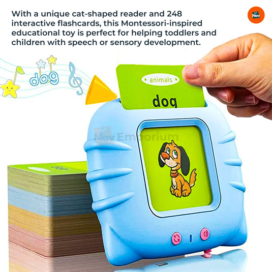 Colorful Flash Cards for Toddlers