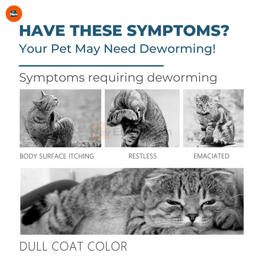 Paw Guard Flea & Tick Spray
