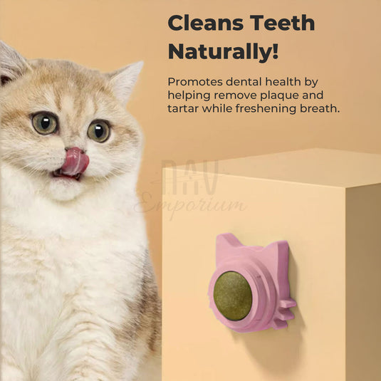 Rotatable cat dental toy