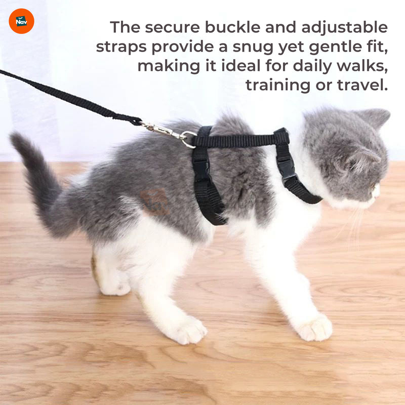 Breathable cat harness for outdoor walks
