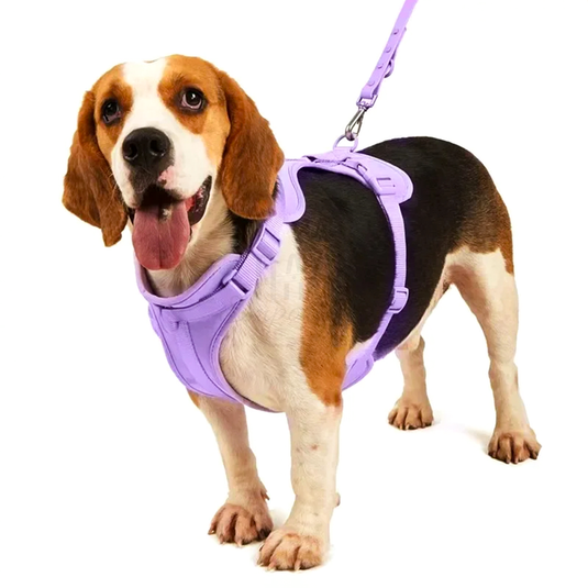 Walk Kit- The Ultimate Companion for Modern Pet Owners