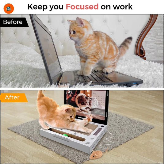 Keyboard cat scratcher keeps cats entertained