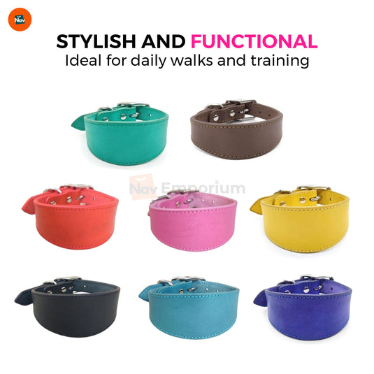 Comfortable dog collar with metal buckle