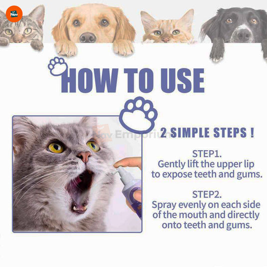 Vet-approved pet dental solution
