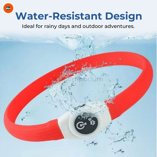 Adjustable glow-in-the-dark pet collar