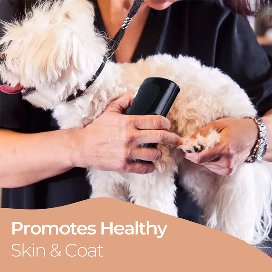 FurGleam: Brush Away Mats for a Flawless Coat