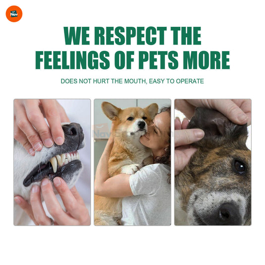 Plaque removal for pets