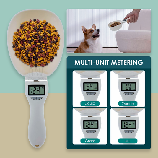 Electronic Measuring Spoon