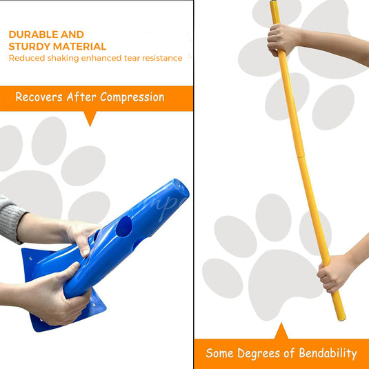 Dog practicing on agility seesaw