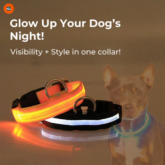 Weatherproof illuminated dog collar