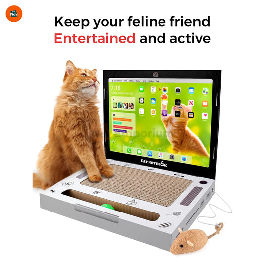 Cat laptop scratcher with built-in ball track