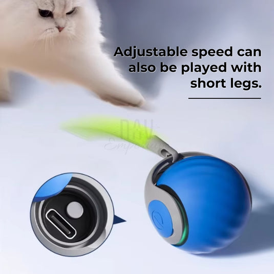 Durable cat toy design
