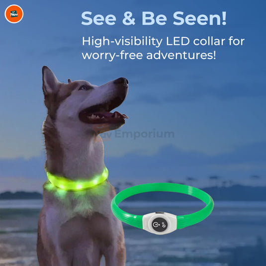 High-visibility LED pet collar