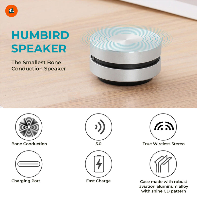 Echo Tone Speaker Providing Immersive Listening