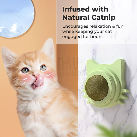 Catnip-infused spinning ball