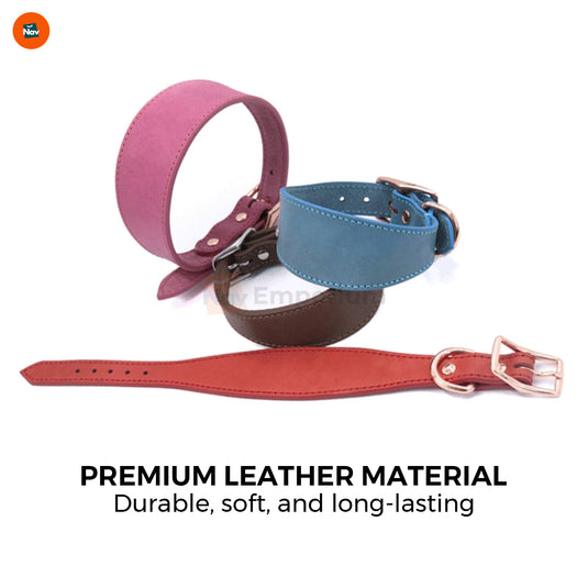 Durable leather pet collar"