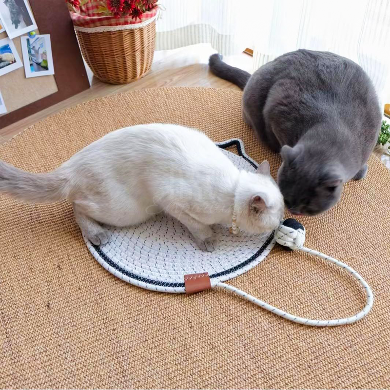 PurrPad Pro: The Perfect Cat Scratching Mat