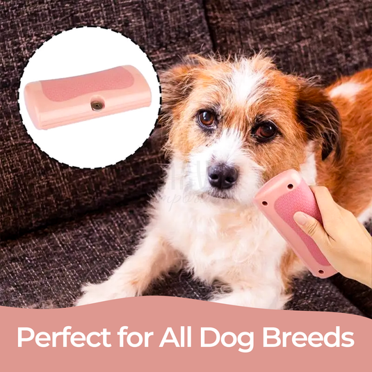 FurGleam: Brush Away Mats for a Flawless Coat