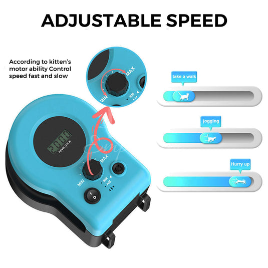 Indoor cat activity wheel