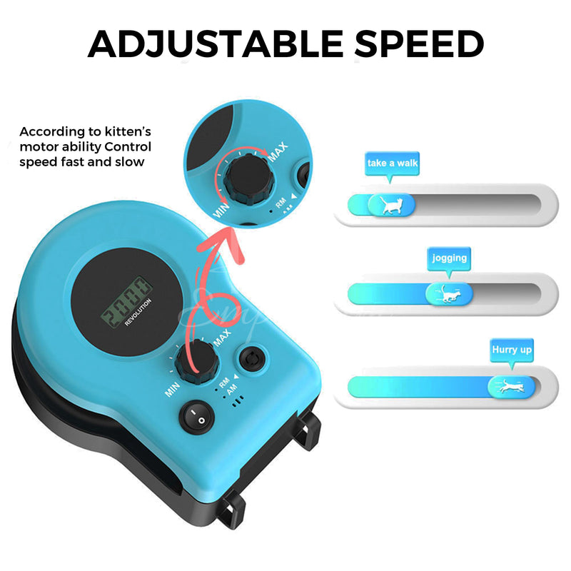 Indoor cat activity wheel