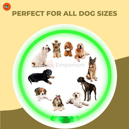 LED collar with flashing and steady modes