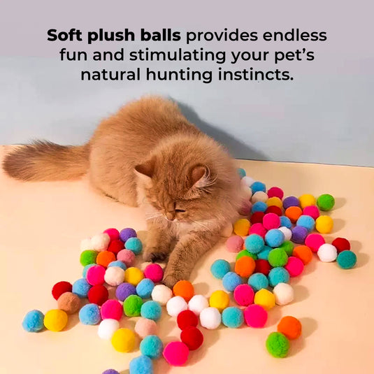 Easy-to-use cat toy gun