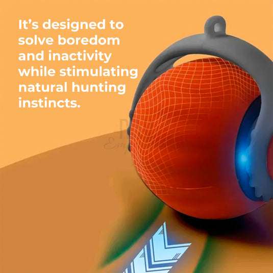 Rechargeable cat toy battery