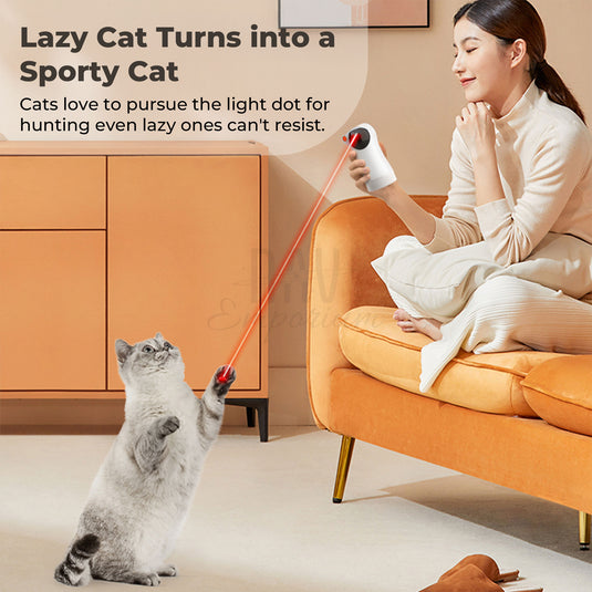 Automatic cat laser device