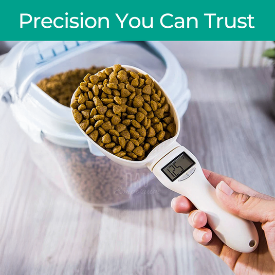 Precision Kitchen Tool