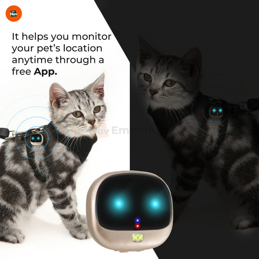 4G pet locator collar