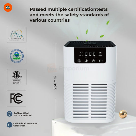 Portable air purifier with control