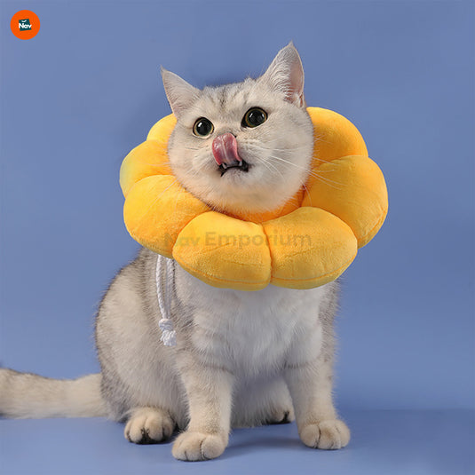 Chew-proof dog recovery collar